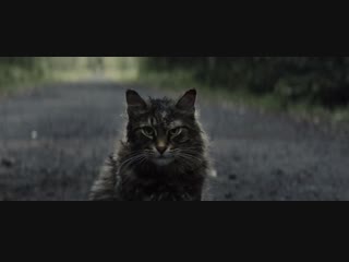 pet sematary / pet sematary (2019) russian trailer.