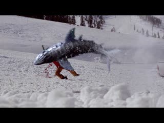 mountain sharks / snow sharks / avalanche sharks (2014)